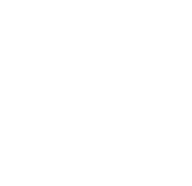 Penguin Store